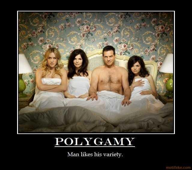 Would you ever consider a polygamous relationship? Why or why not?