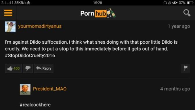 How often do you see funny PornHub comments?