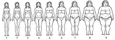 Best body type?