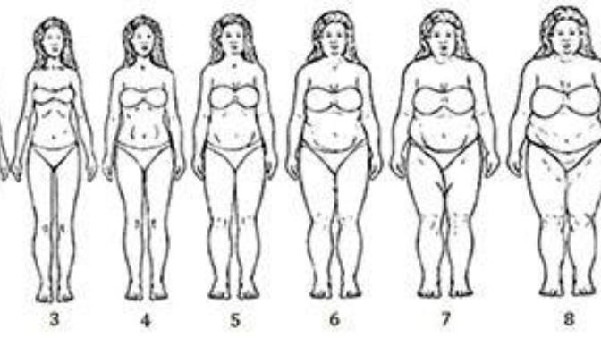 Best body type?