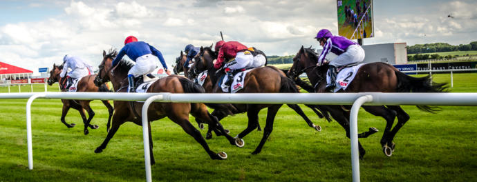 Have you ever been to The Races?