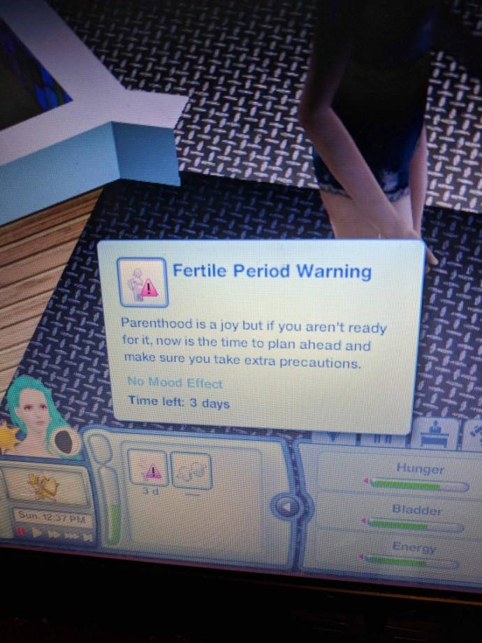 Should EA make Sims has adult content??