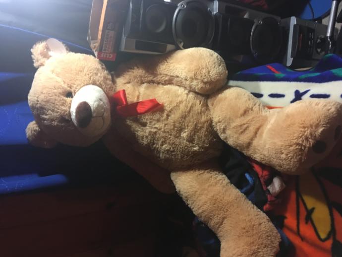 Do you girls love big teddy bears?