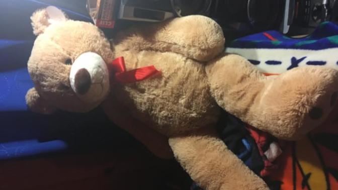 Do you girls love big teddy bears?