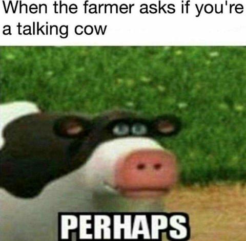 I like these kind of memes, but my friends don't??