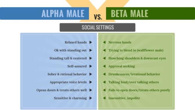 Do you believe in Alpha/Beta?