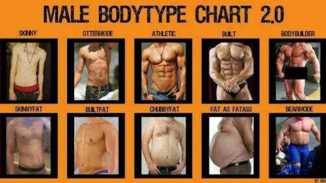 Which body type is perfect or better for male to make females like them?