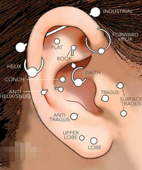 Guy getting many ear piercings??