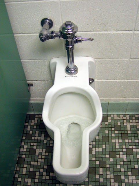 Girls, would you like to use urinal?
