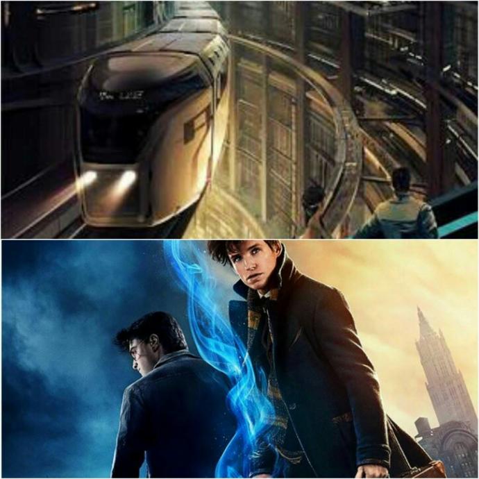 Which genre of movies do you like the most? And why??