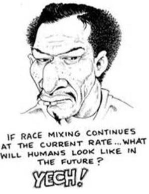 Why are mixed race people more talented and intelligent compared to others?