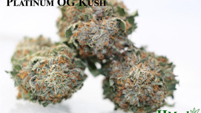 What's your favorite strain?
