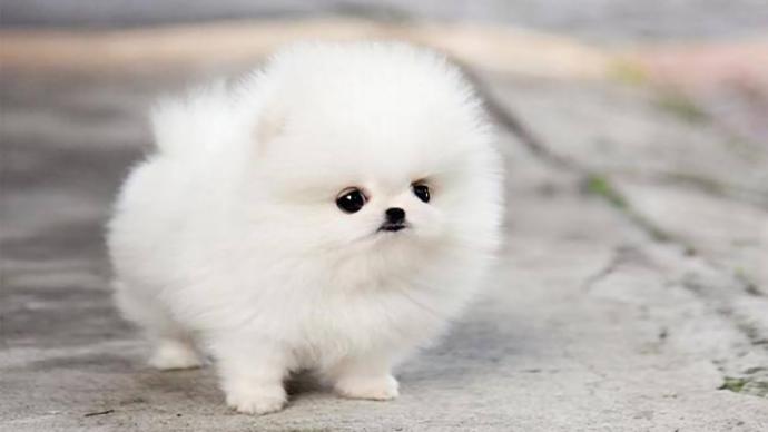 What is something you find really cute?