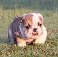 What is something you find really cute?