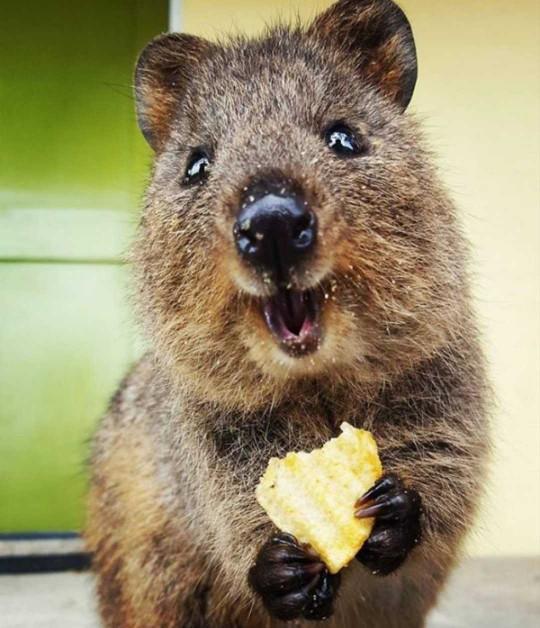 What is something you find really cute?