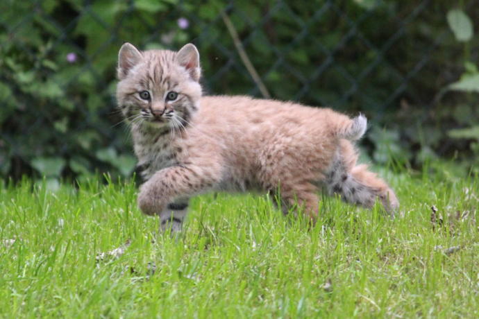 What is something you find really cute?