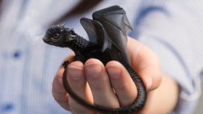 If you found a dragon egg and it hatched, would you keep the baby dragon?