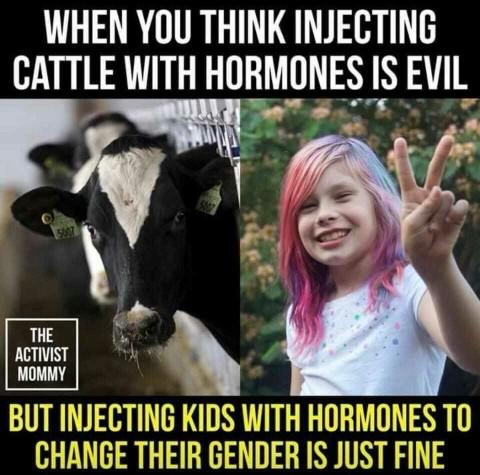 Why are people so against the LGBT community?