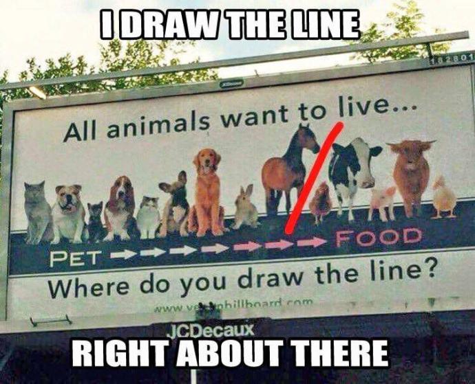 Is it moral to eat animals?
