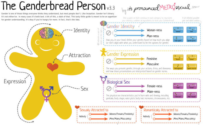 Do you think the transgender movement have gone too far?