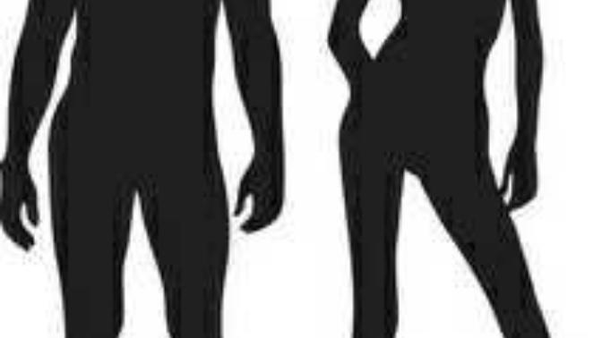 What do you find most attractive in the opposite gender?