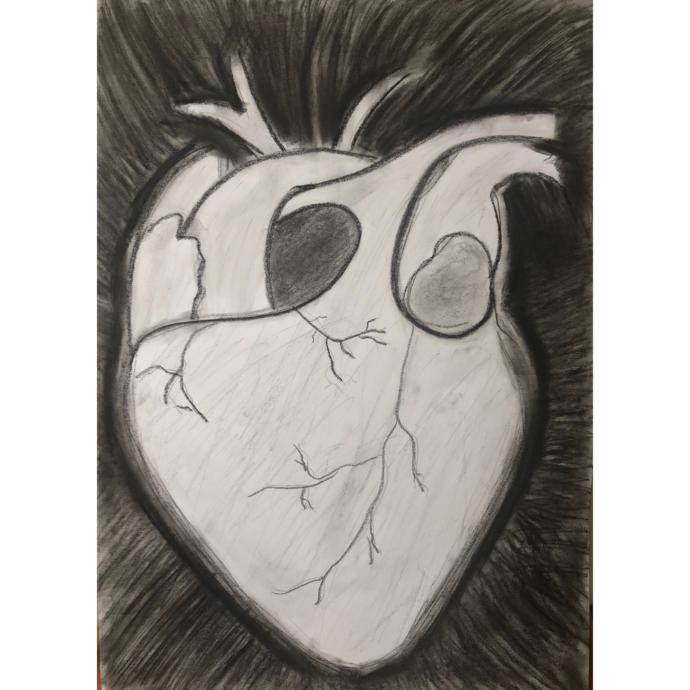 What do you think?