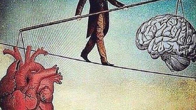 Which is better? to follow your heart or your brain?