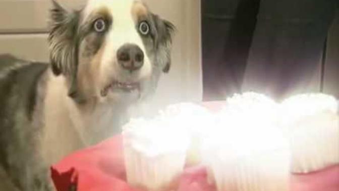 I'm going on a movie date tomorrow, how do I resist the urge to cheat my diet?