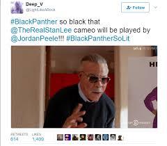 Should Black Panther 2 be made more racially diverse with more white people?