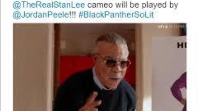 Should Black Panther 2 be made more racially diverse with more white people?