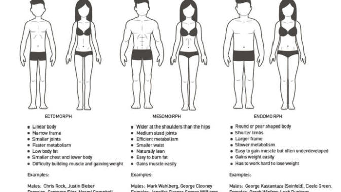 What's your body size (be honest)?