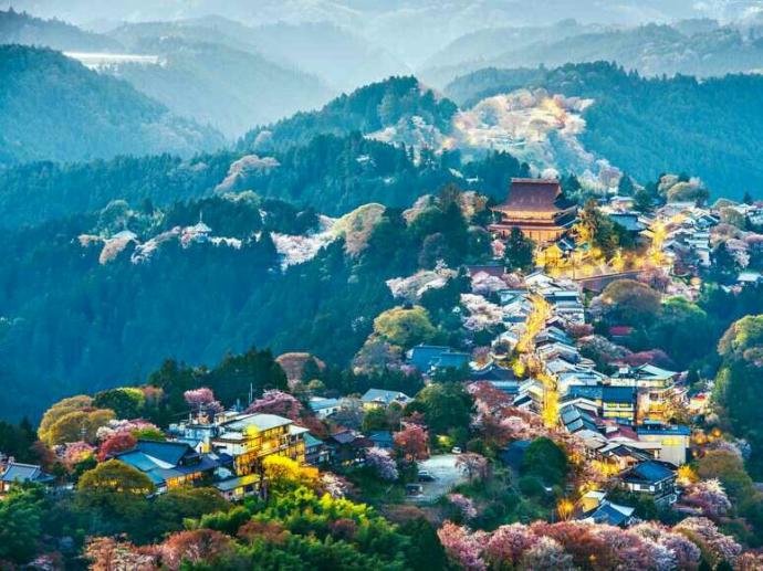 Would you visit Japan if the opportunity presented itself??