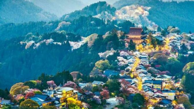Would you visit Japan if the opportunity presented itself?