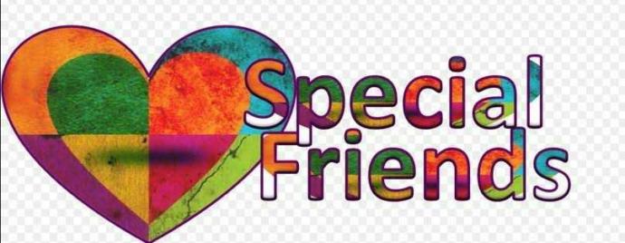 Which "Social Networking " site you like most to spend your time and where you make most of your friends?