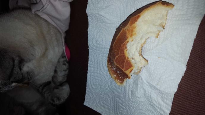 What do you think of this poem I just wrote to express my love for bread??