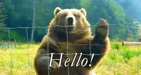 Should I say hi?
