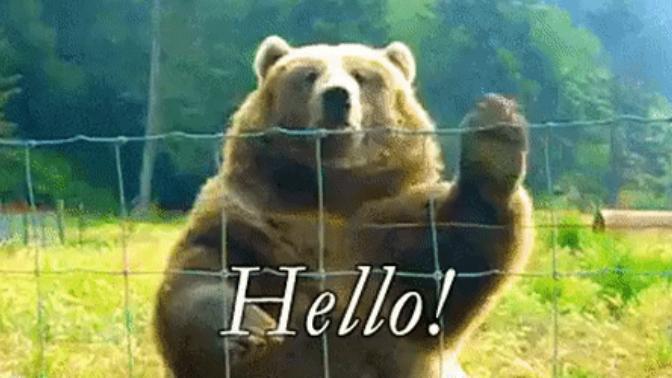 Should I say hi?