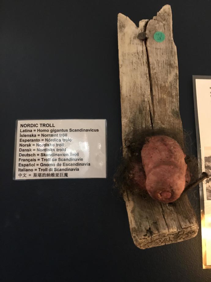 Would you visit the Icelandic penis museum?