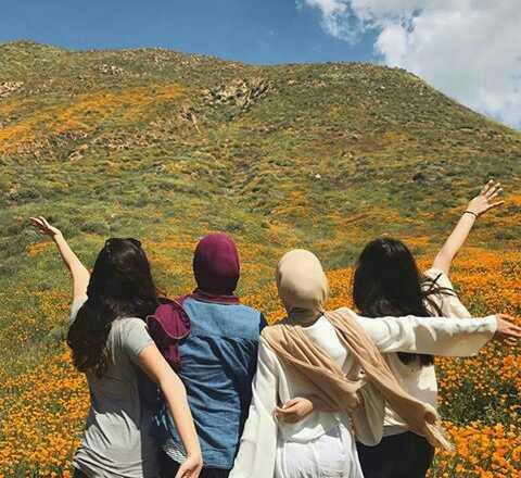 What do you think about muslims girls??