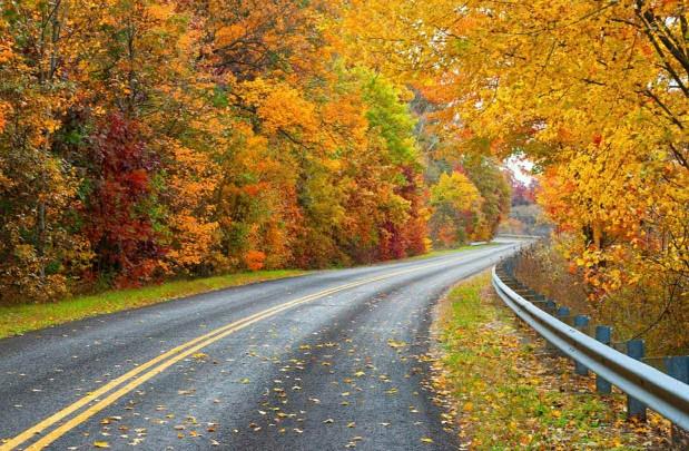 What do you think of backroading with music as a first date??
