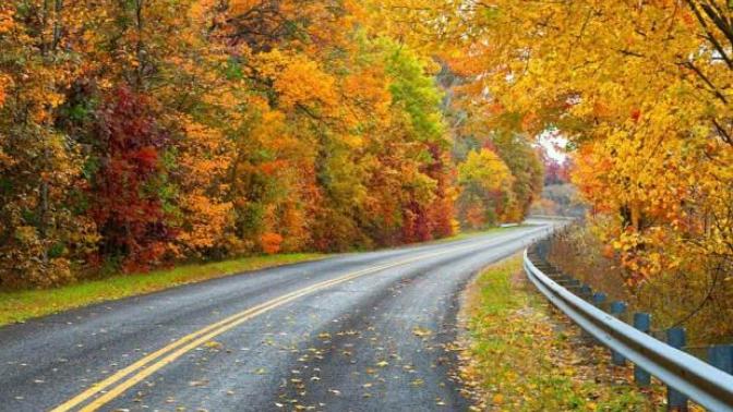 What do you think of backroading with music as a first date?