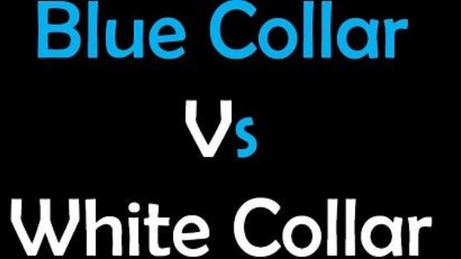 Do white collar and blue collar workers have a basic disdain for one another?