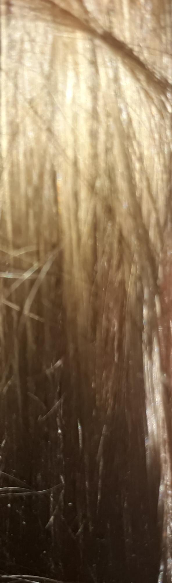 Am i blond or brown?