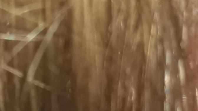 Am I blond or brown?