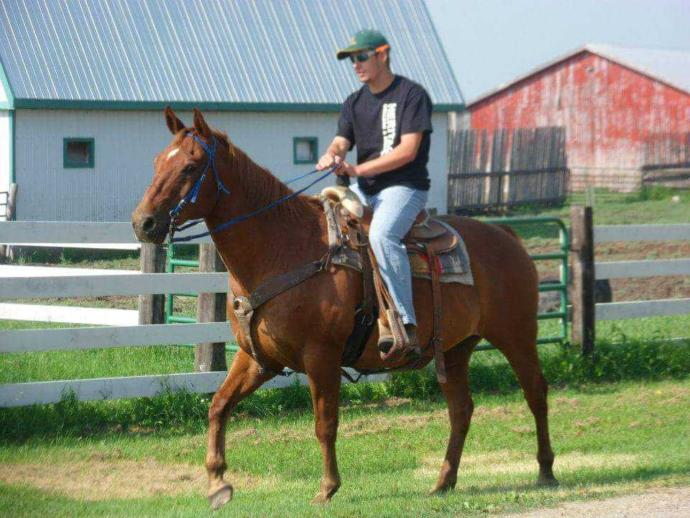 Havcw you ever go horseback riding??