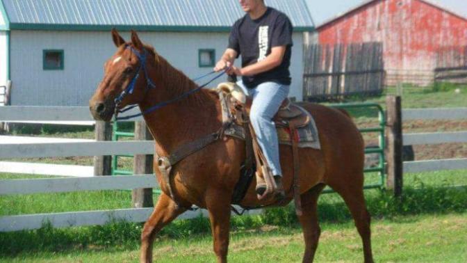Have you ever gone horseback riding?