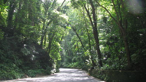 Whays the first thing you think when you hear Jamaica?