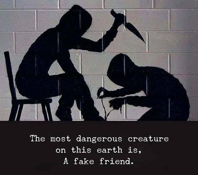 All my friends are fake as fuck!?