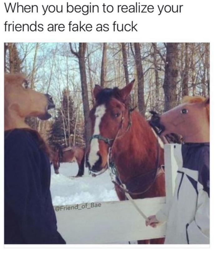 All my friends are fake as fuck?