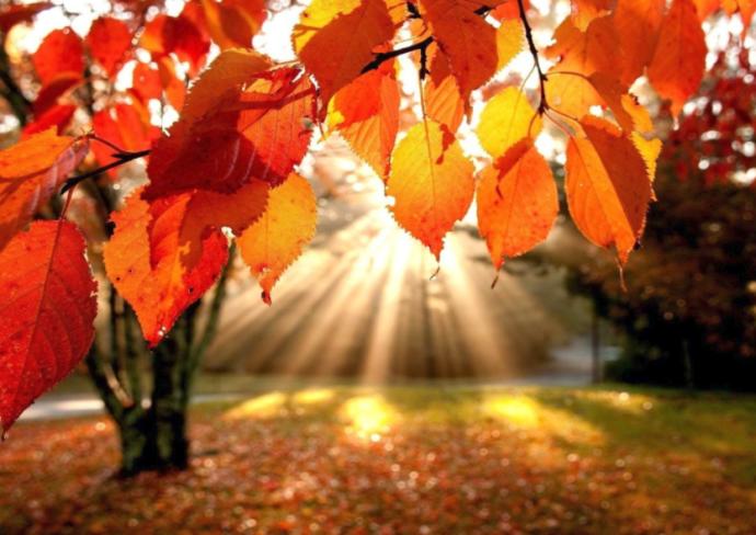 Which season do you think is the most aesthetically pleasing?